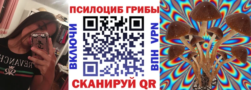 Купить  Кущёвская  Псилоцибиновые грибы MAGIC MUSHROOMS 