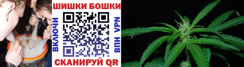 Купить где  Кущёвская  Бошки марихуана Ganja 